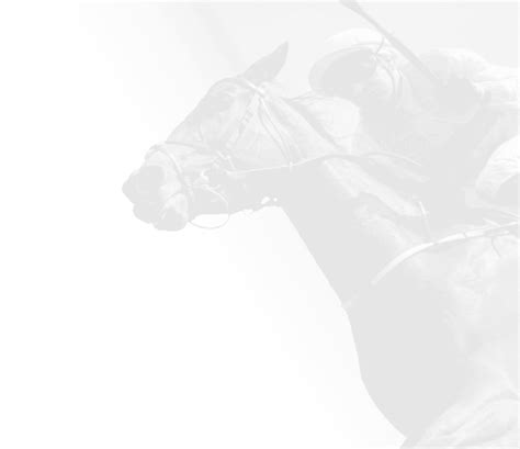 2024 Cheltenham Gold Cup result: where your horse finished and who .